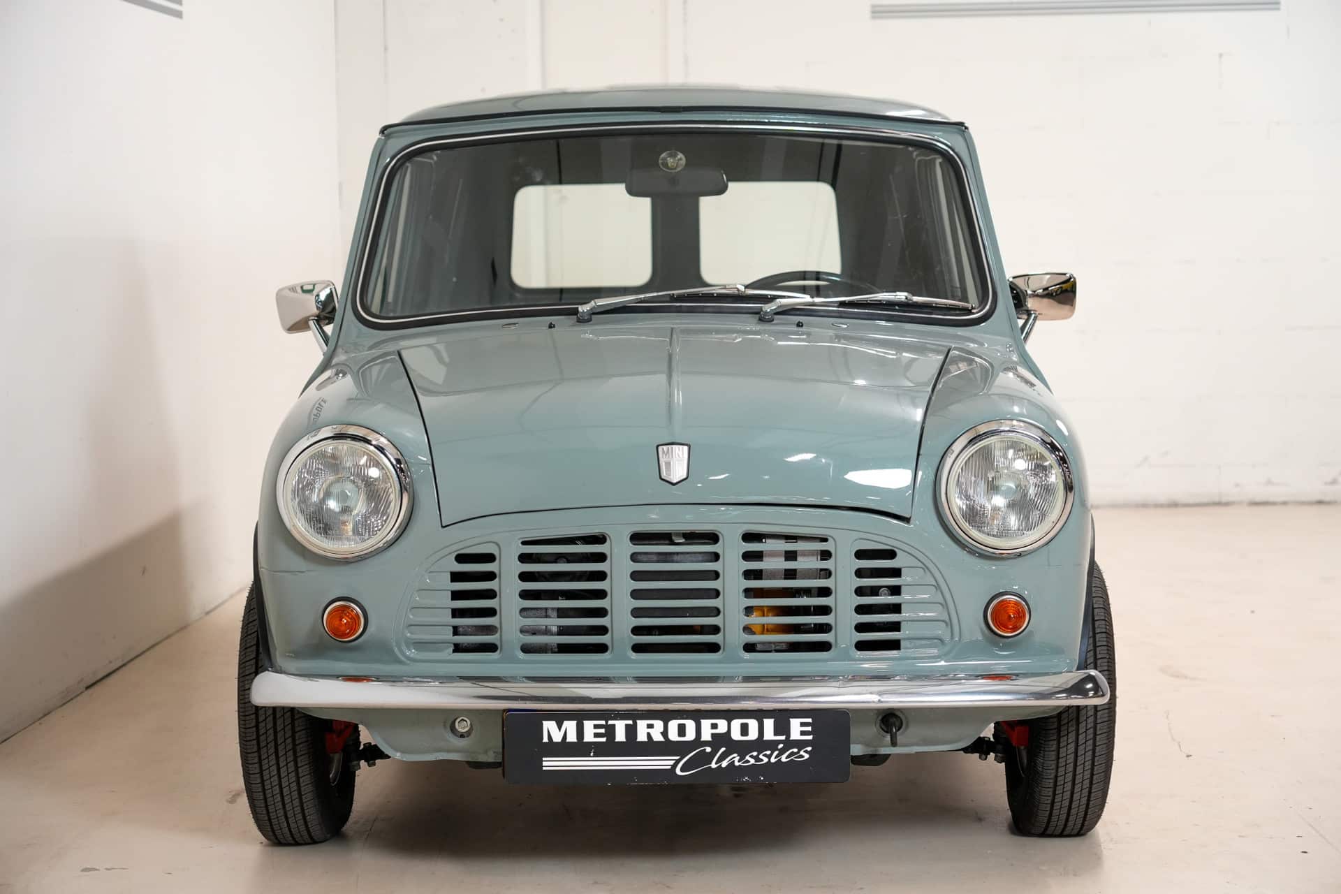 MINI 1000 VAN