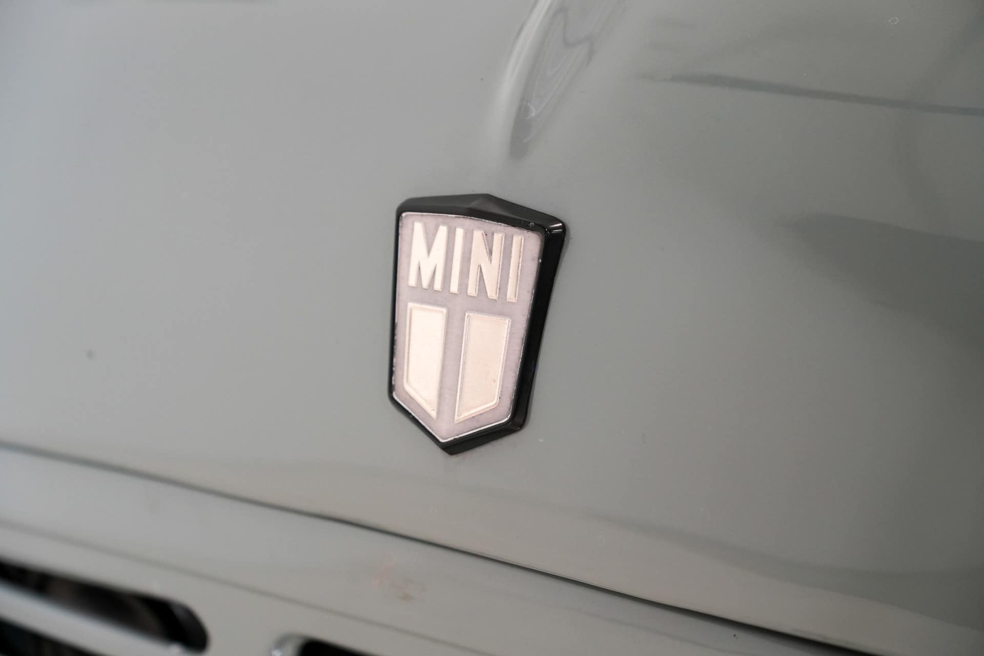 MINI 1000 VAN