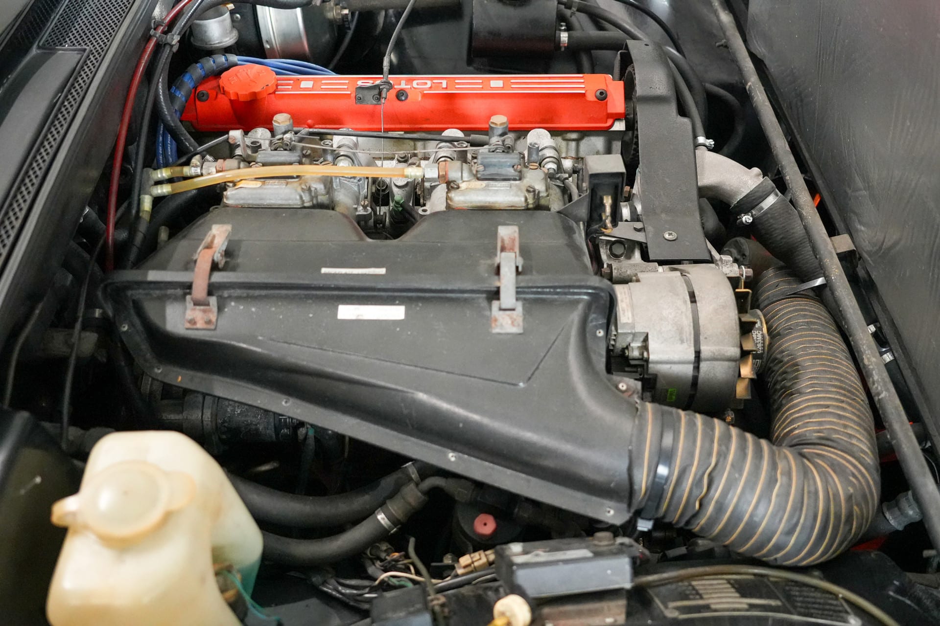 Lotus Excel SE