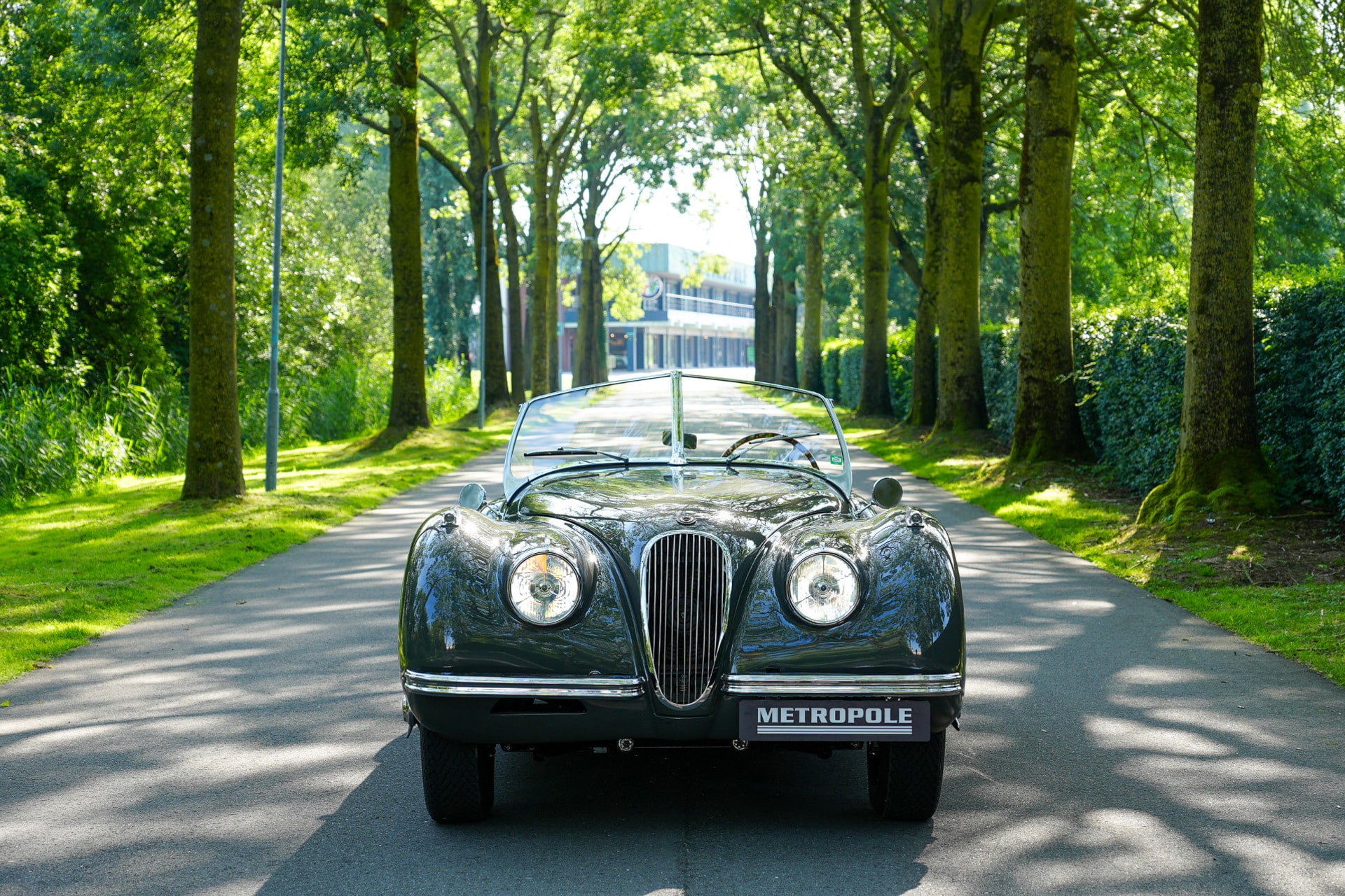 Jaguar XK120 OTS