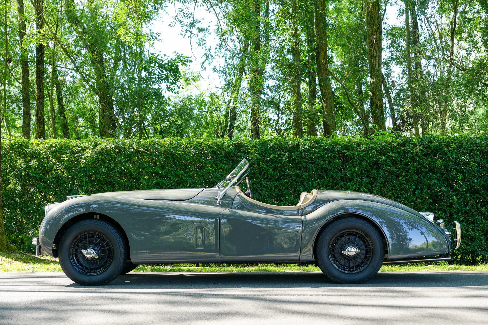 Jaguar XK120 OTS