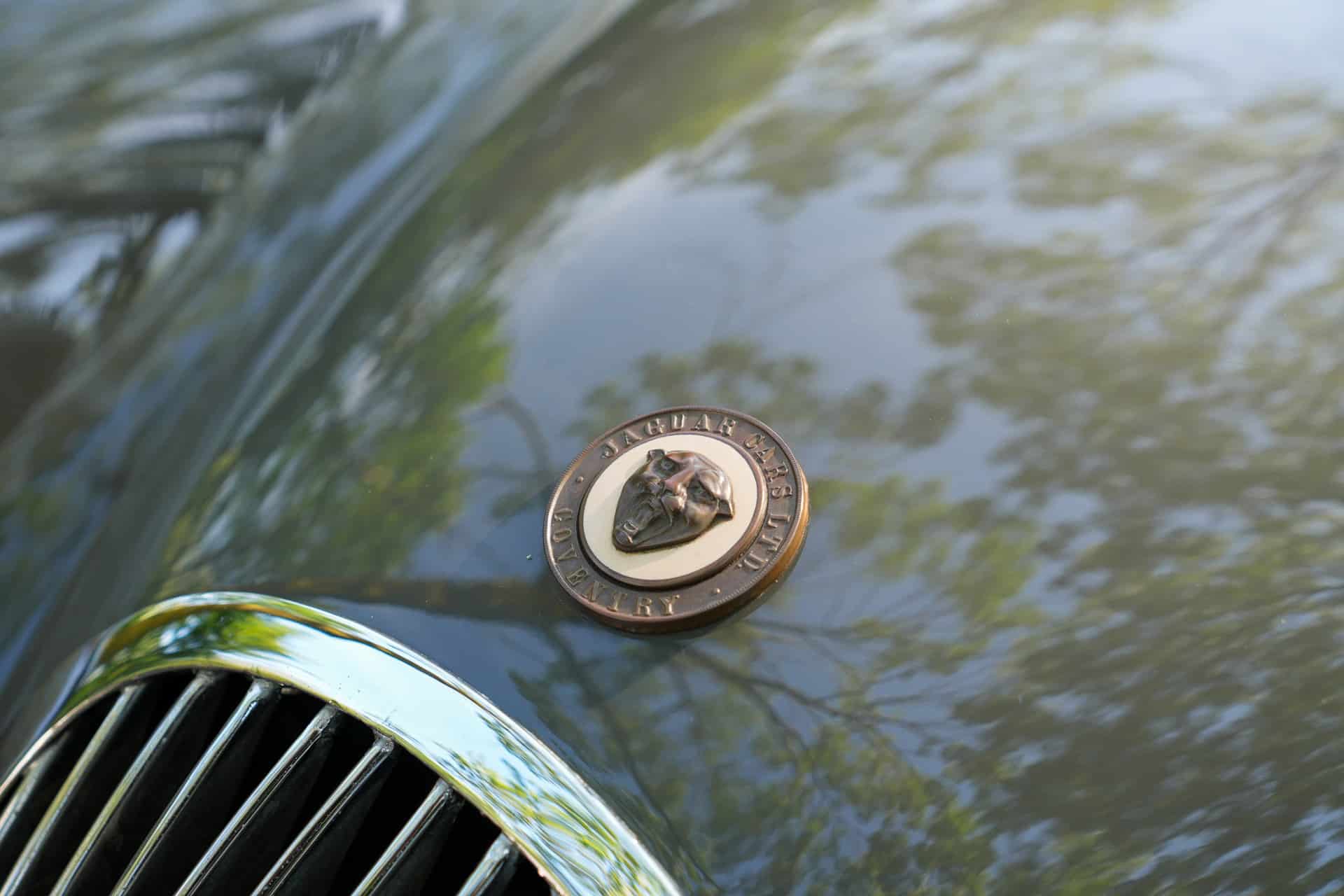 Jaguar XK120 OTS