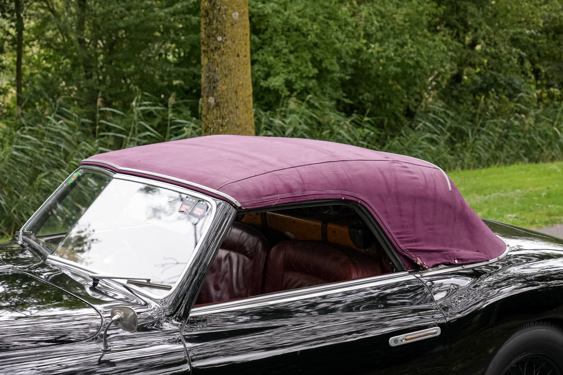 Alfa Romeo 6C 2500 SS Pininfarina