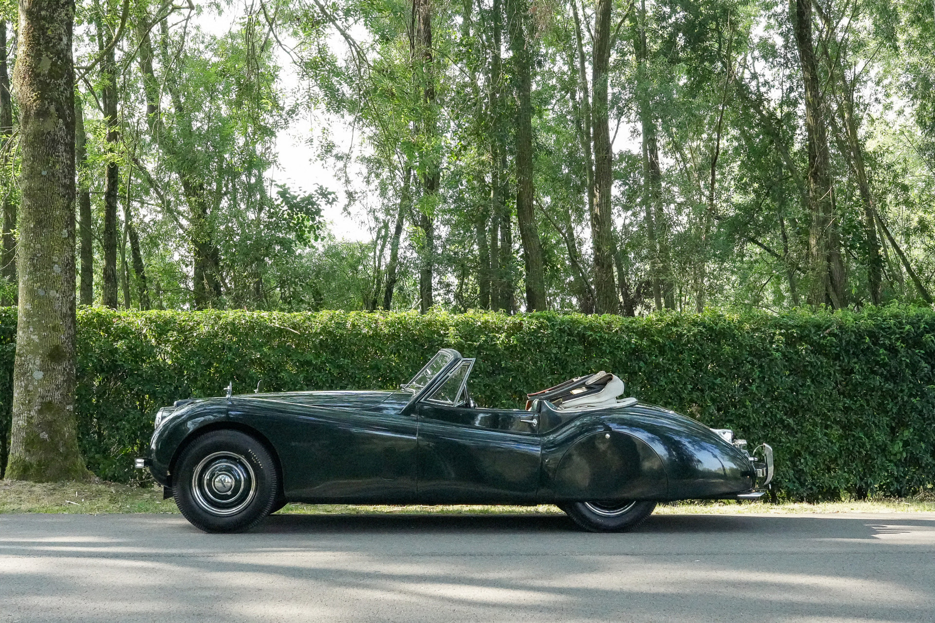 Jaguar XK 120