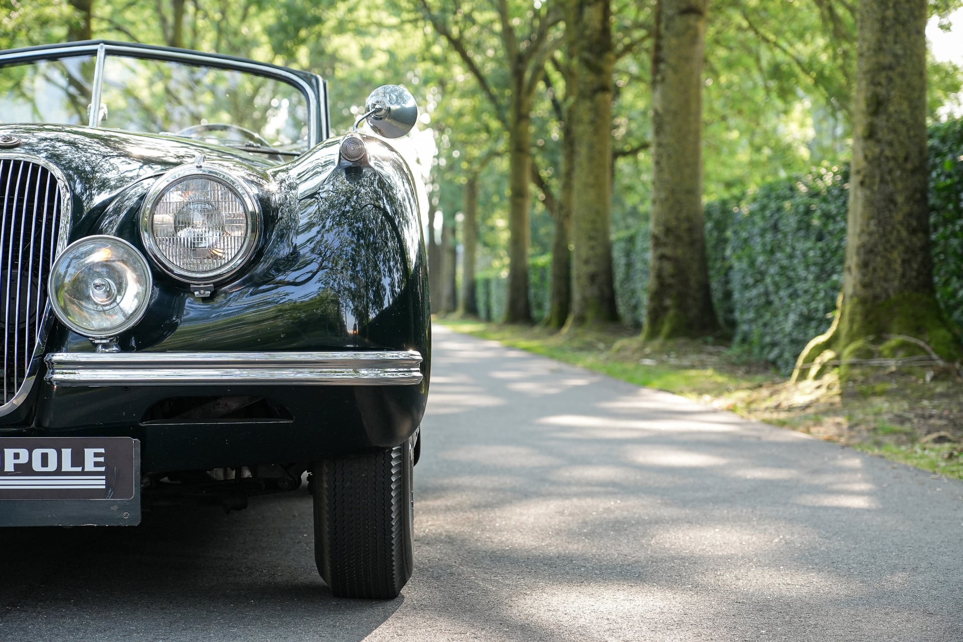 Jaguar XK 120