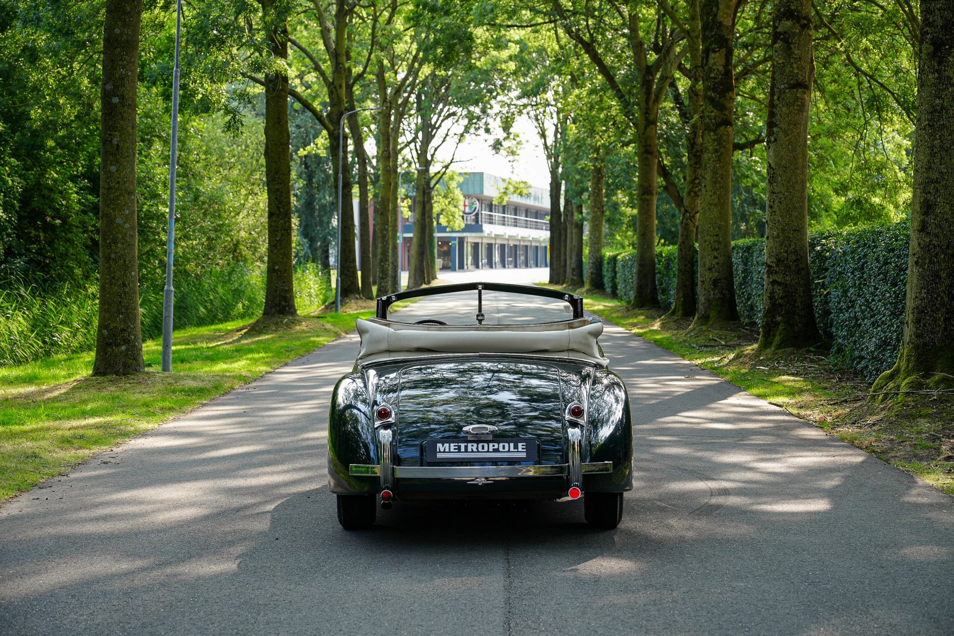 Jaguar XK 120