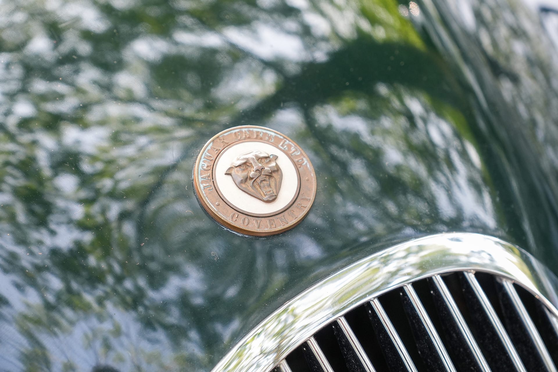 Jaguar XK 120