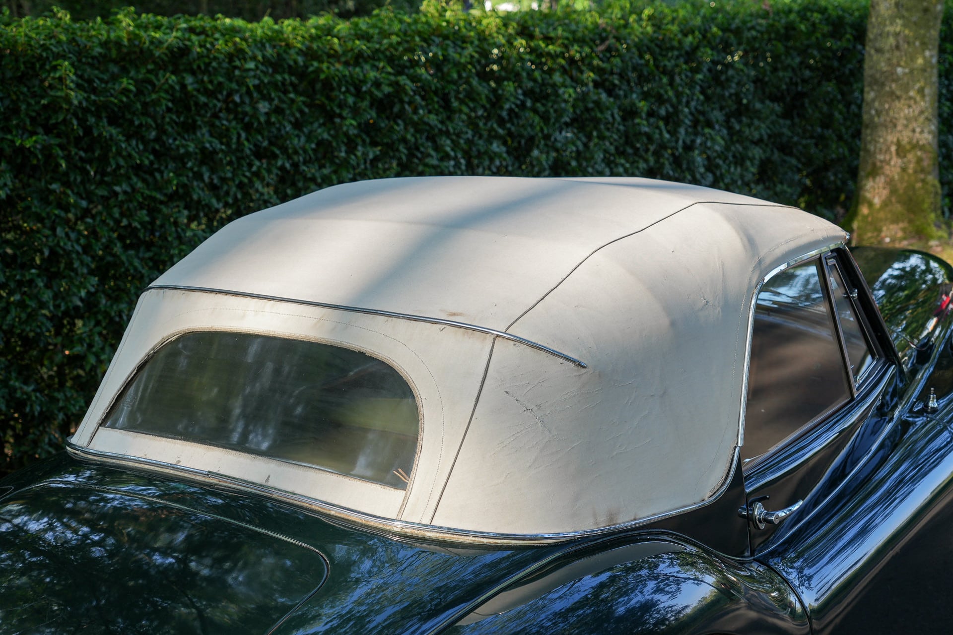 Jaguar XK 120