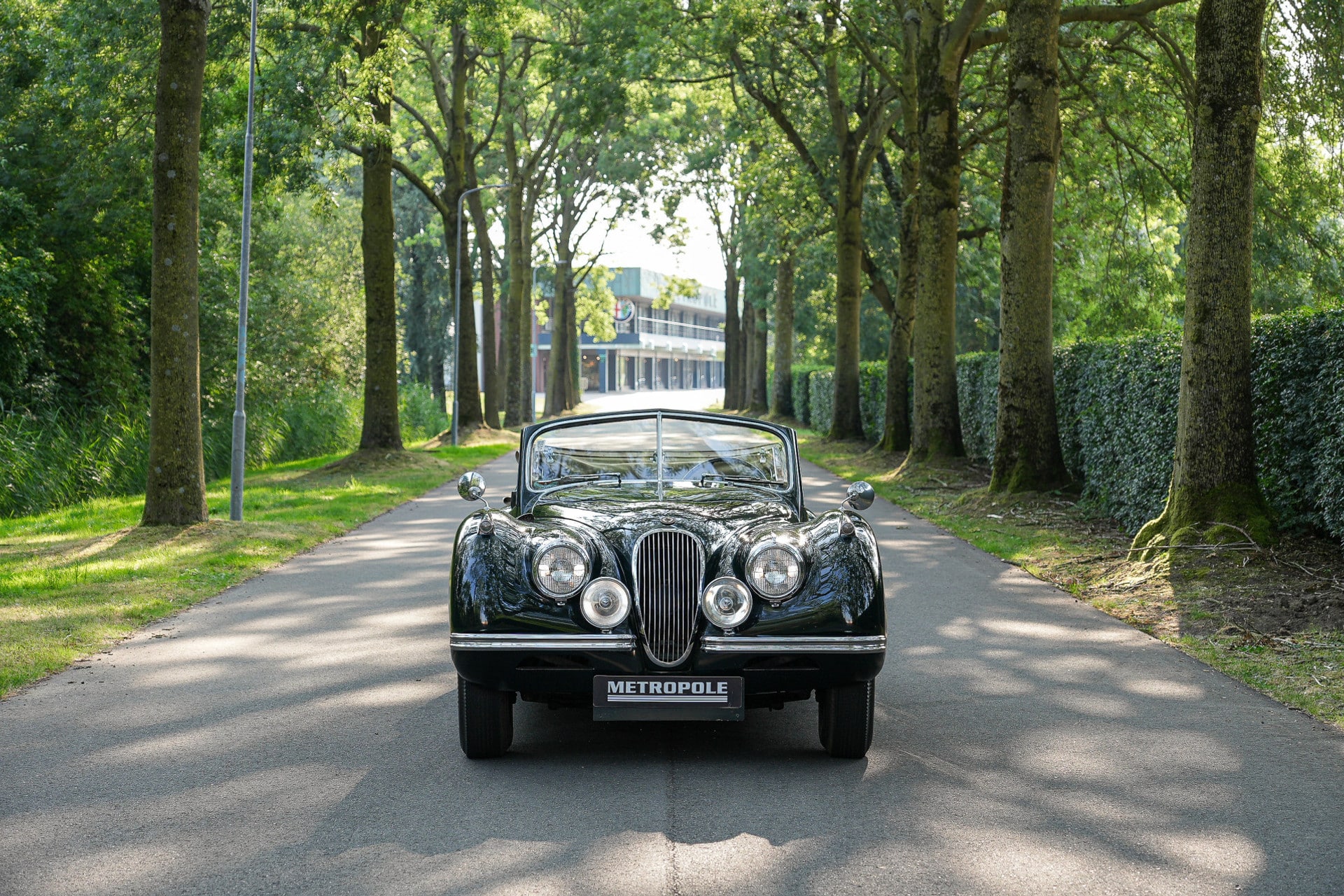 Jaguar XK 120