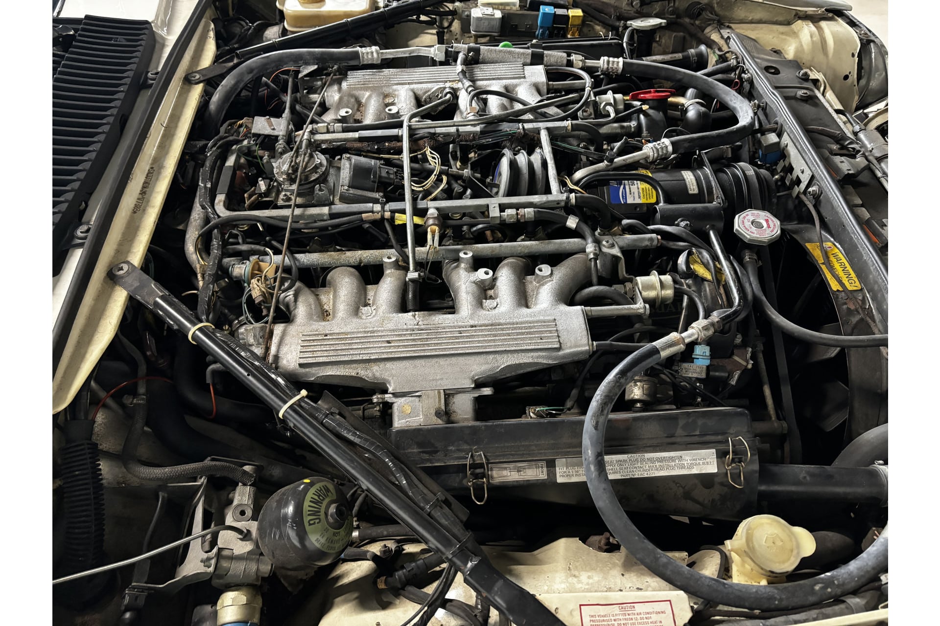 Jaguar XJS V12